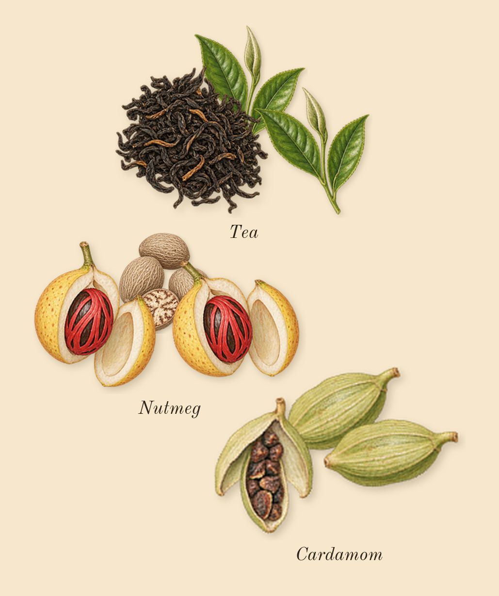 Replica Never-Ending Summer, heart: Tea, Cardamom, Nutmeg