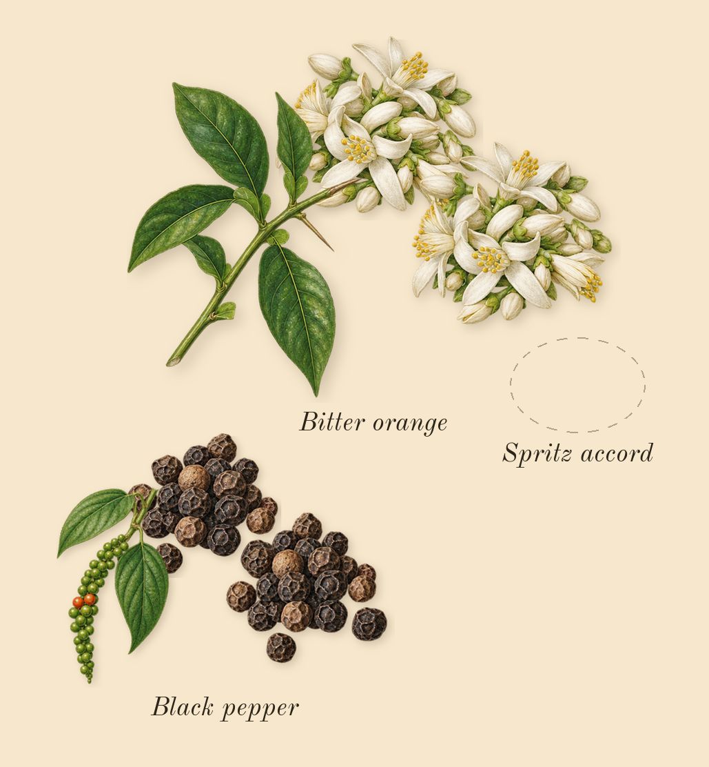 Replica Never-Ending Summer, top notes: Spritz accord, Bitter orange, Black pepper