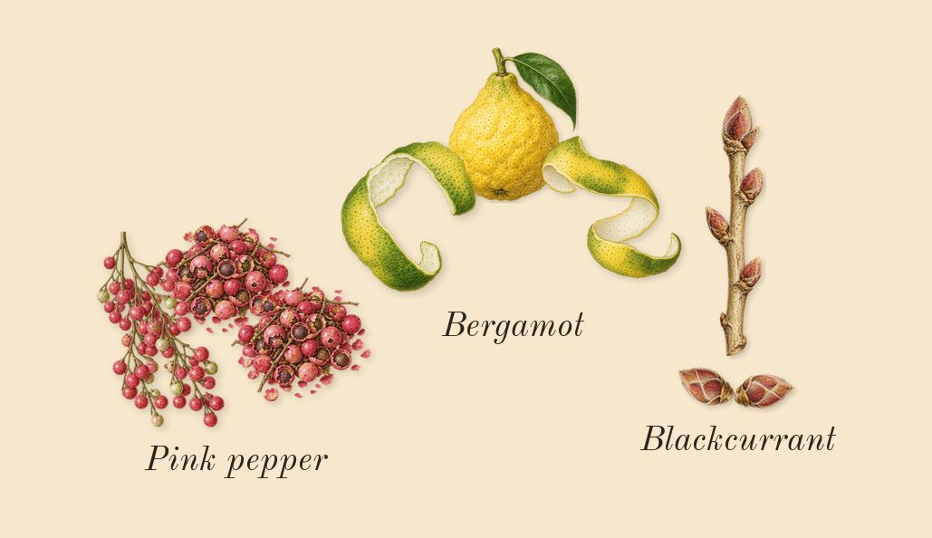 Replica On a Date, top notes: Blackcurrant, Bergamot, Pink pepper