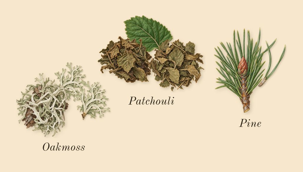 Replica When the Rain Stops, dry-down: Pine, Patchouli, Oakmoss