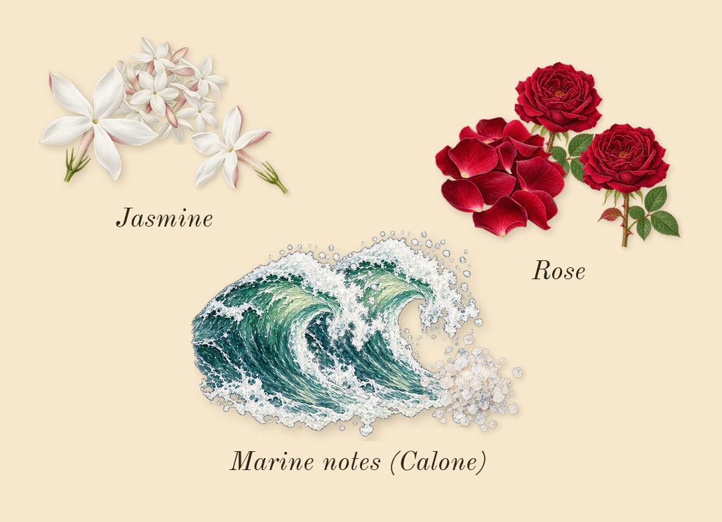 Replica When the Rain Stops, heart: Marine notes (Calone), Rose, Jasmine