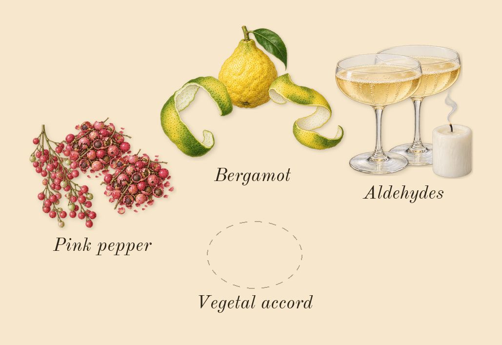 Replica When the Rain Stops, top notes: Bergamot, Vegetal accord, Pink pepper, Aldehydes