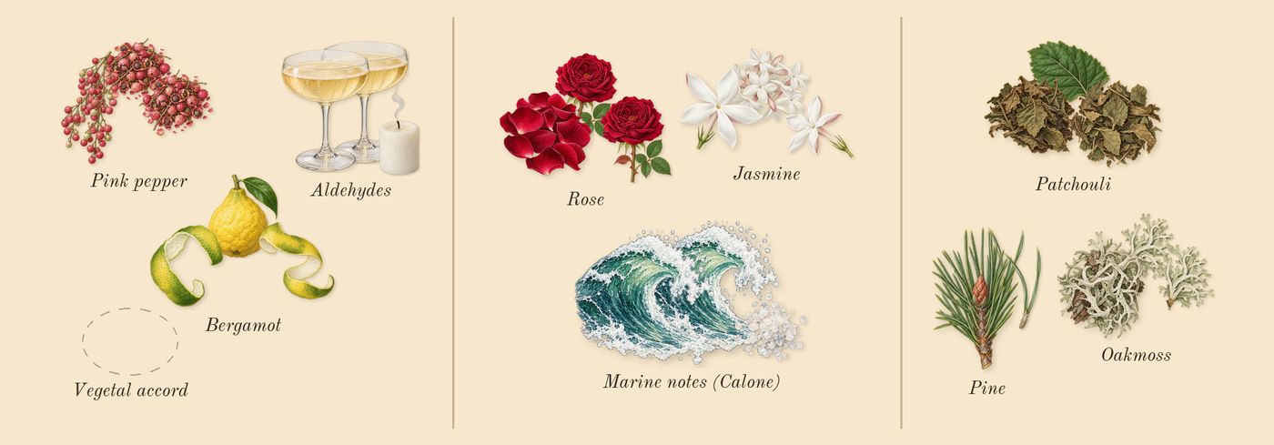 Replica When the Rain Stops’s scent picture, a draft: bergamot, pink pepper, marine notes (calone), rose, jasmine, pine drawn so far; dashed outlines where nothing is drawn yet