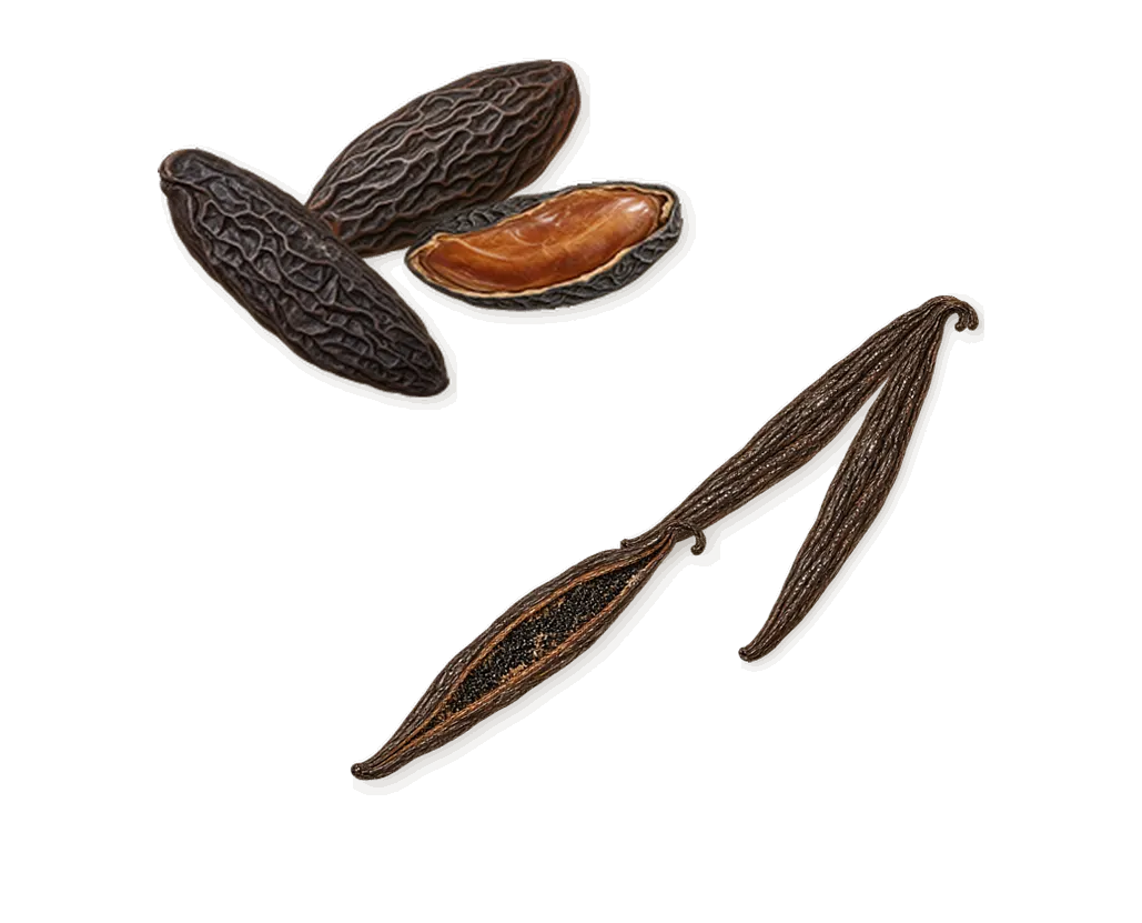 Escapade Gourmande, as it settles: Vanilla, Tonka (coumarin)