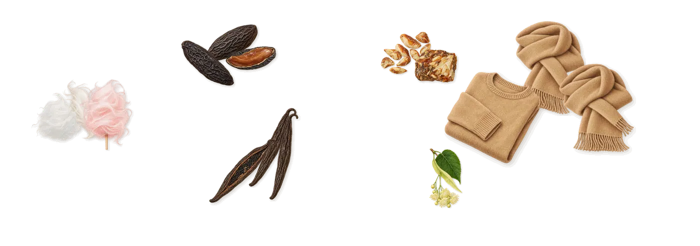 Escapade Gourmande’s scent picture, a draft: black sugar, vanilla, tonka (coumarin), musk, benzoin, farnesol (linden blossom) drawn so far; dashed outlines where nothing is drawn yet