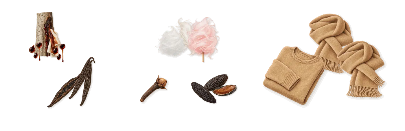 Escapade Gourmande Grand Cru Absolu de’s scent picture, a draft: vanilla (vanillin), peru balsam, black sugar, tonka (coumarin), musk, isoeugenol (clove) drawn so far; dashed outlines where nothing is drawn yet
