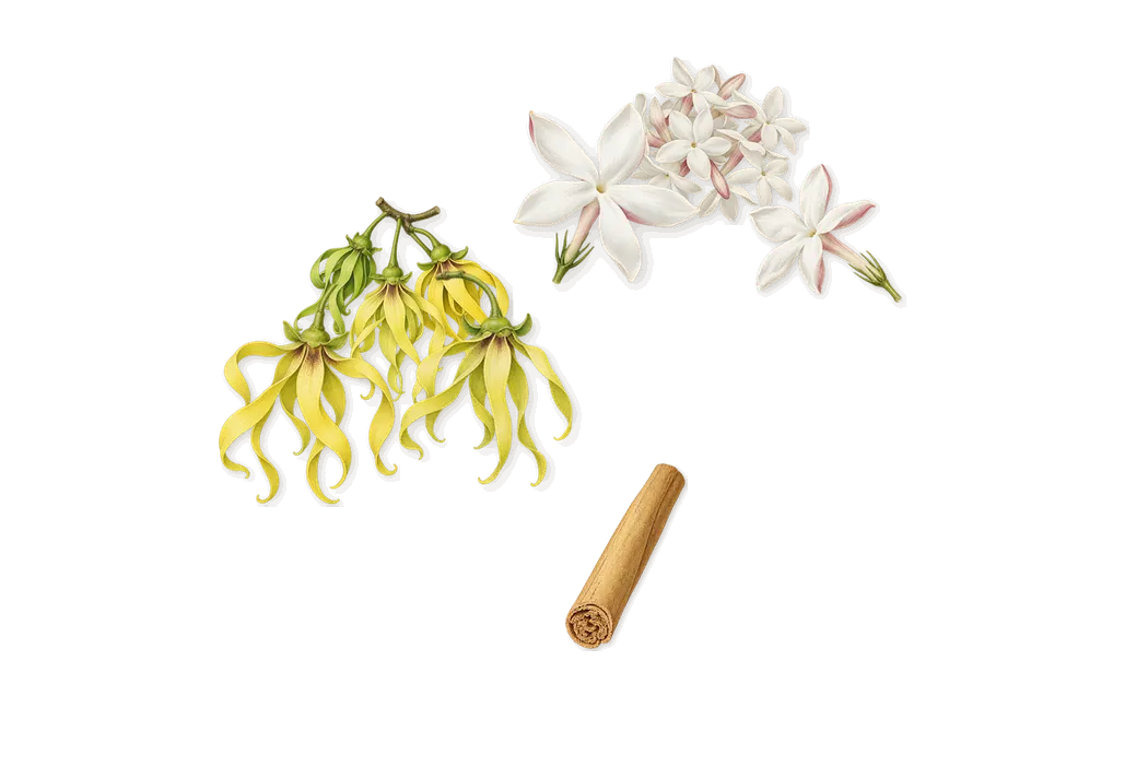 Évasion Bonbon, as it settles: Jasmine, Ylang-ylang, Cinnamal (cinnamon)