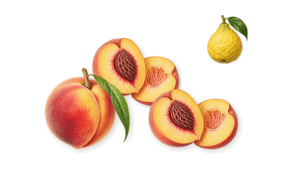 Pêche Velours, when you spray it: Peach, Bergamot