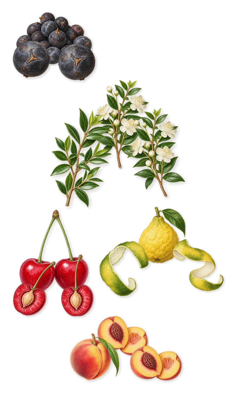O16e, when you spray it: Cherry, Juniper, Peach, Myrtle, Bergamot