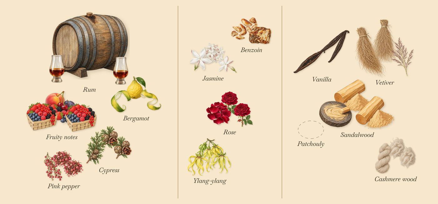 Rawdah’s scent picture, a draft: bergamot, pink pepper, rum, cypress, fruity notes, benzoin drawn so far; dashed outlines where nothing is drawn yet
