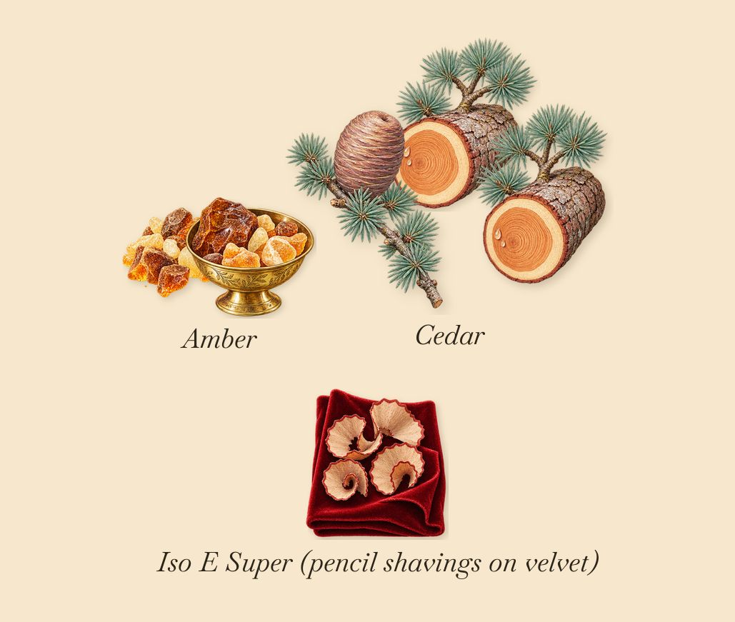 Amberful, what stays: Amber, Cedar, Iso E Super (pencil shavings on velvet)