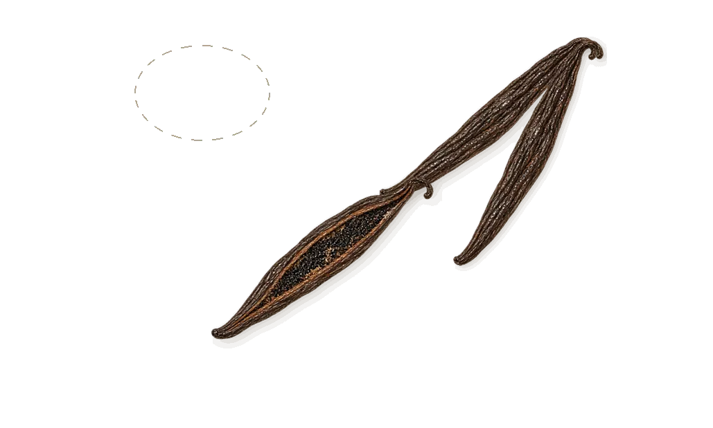 Amore Caffè, as it settles: Vanilla (vanillin), Hint of speculoos