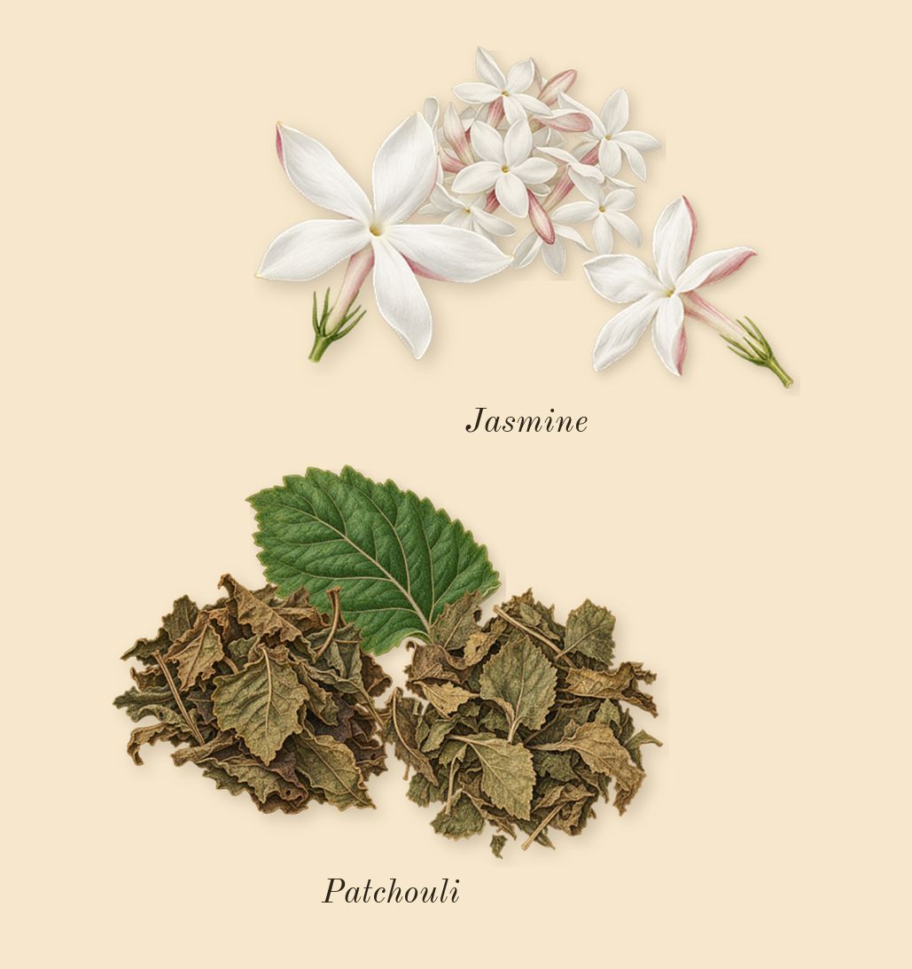 Cedrat Boise, heart: Jasmine, Patchouli