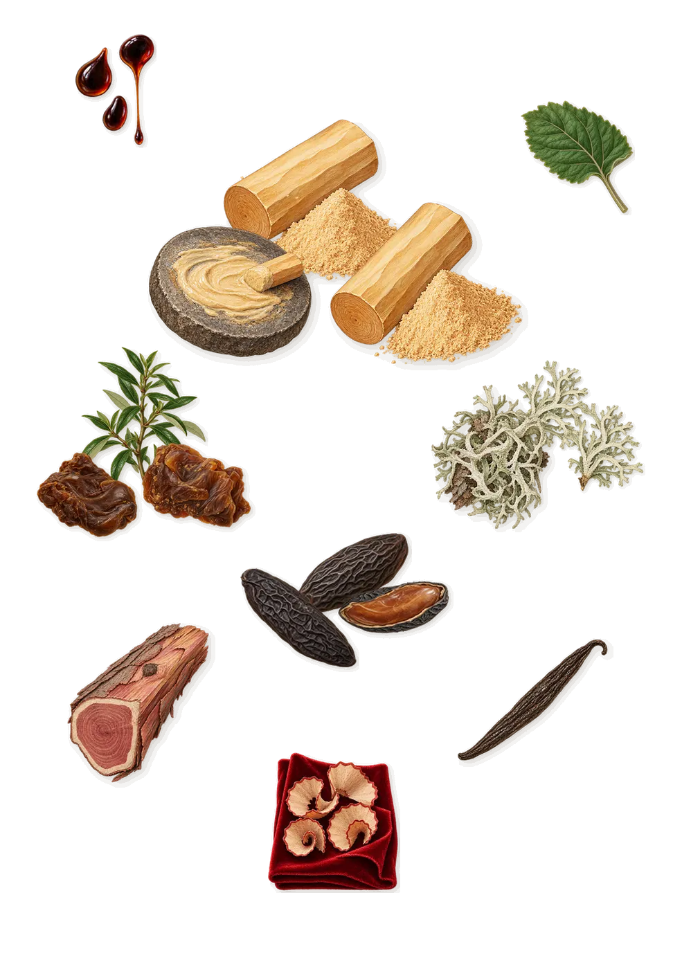 Cinque Terre, what stays: Oakmoss, Tonka (coumarin), Sandalwood, Labdanum, Patchouli, Virginia cedar, Peru balsam, Iso E Super (pencil shavings on velvet), Vanillin (vanilla)