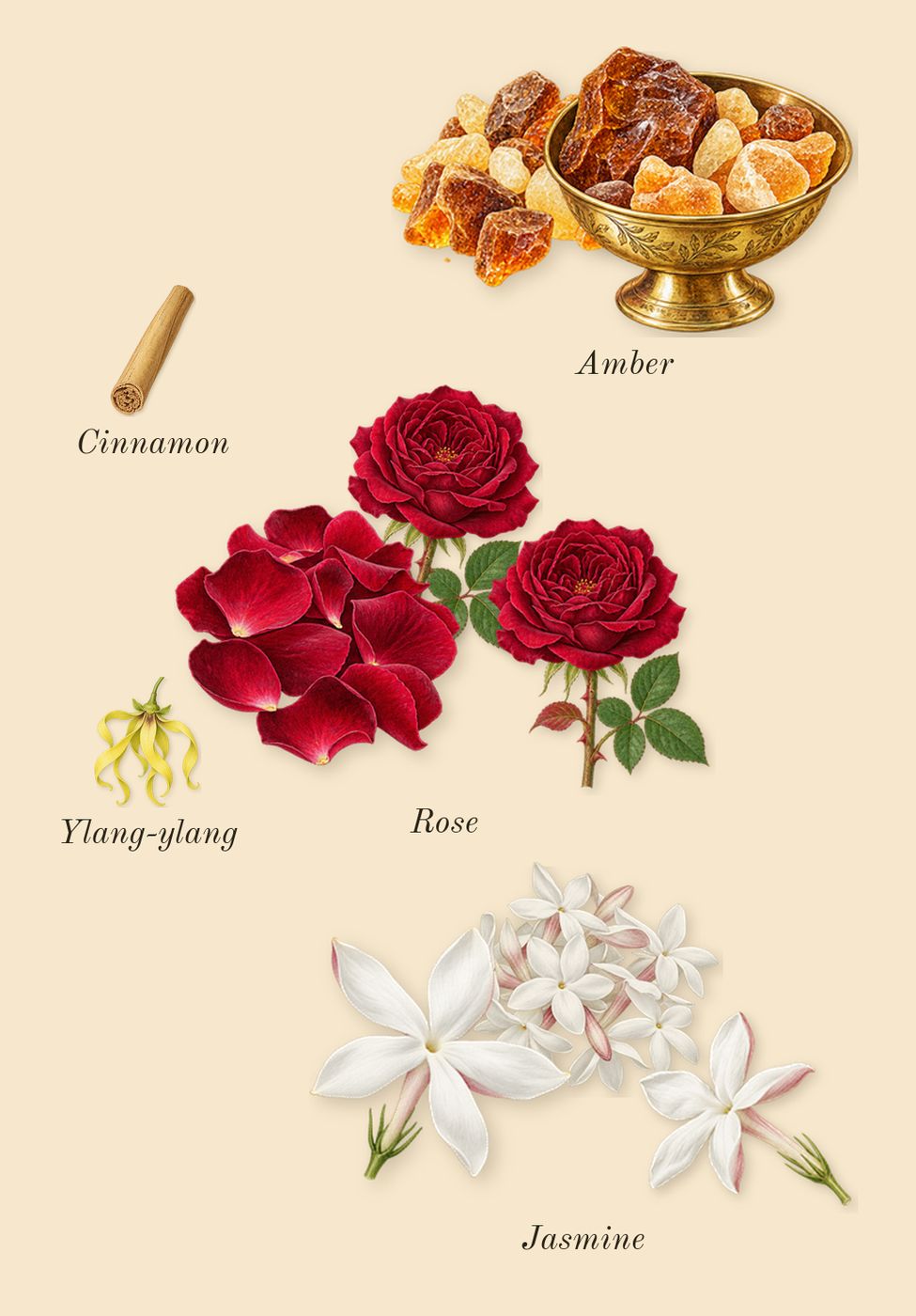 Instant Crush, heart: Rose, Jasmine, Amber, Cinnamon, Ylang-ylang