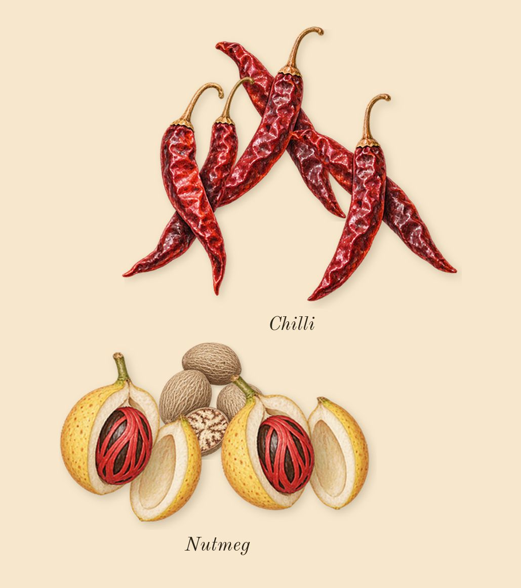 B683, heart: Chilli, Nutmeg
