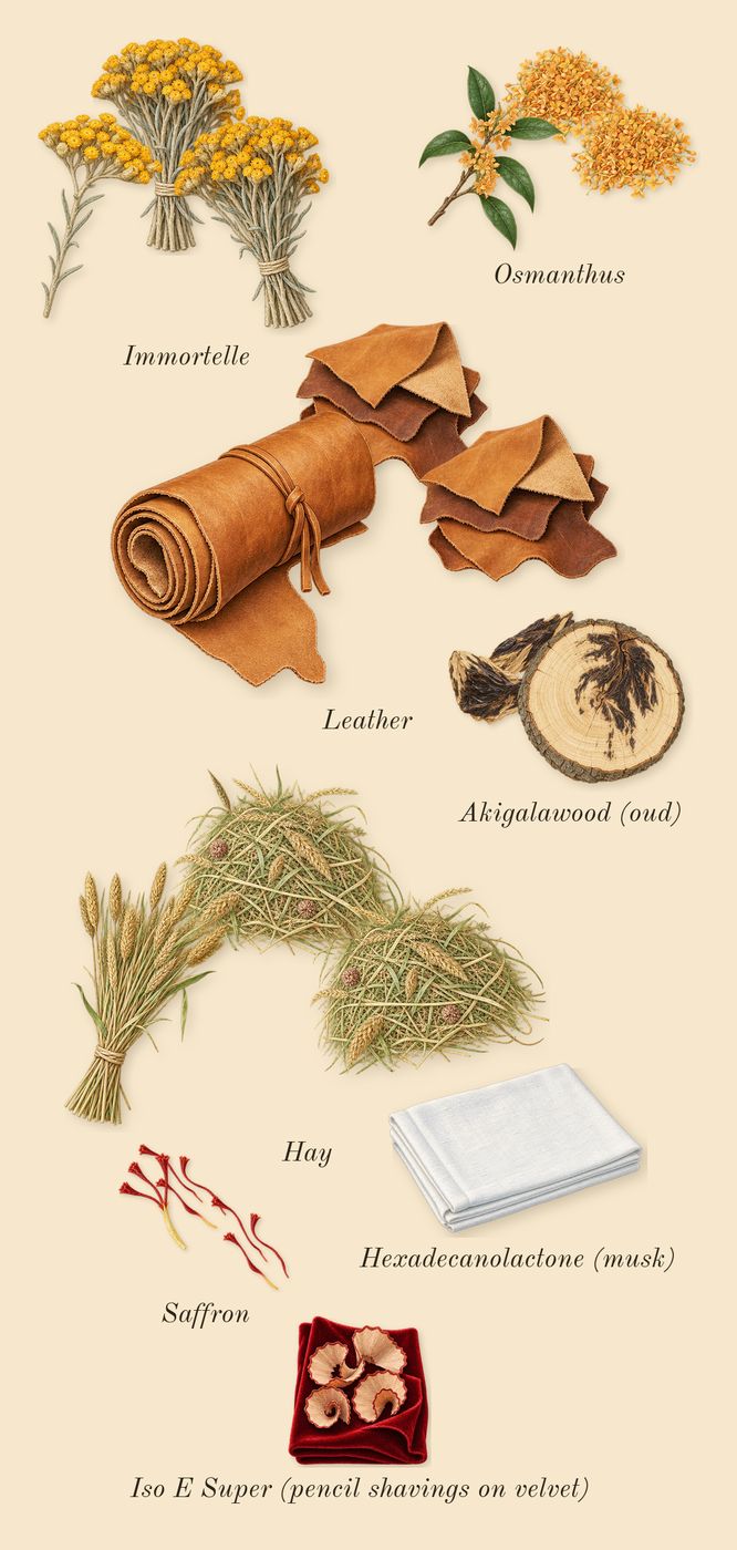 Ganymede, dry-down: Osmanthus, Leather, Akigalawood (oud), Immortelle, Saffron, Hay, Iso E Super (pencil shavings on velvet), Hexadecanolactone (musk)
