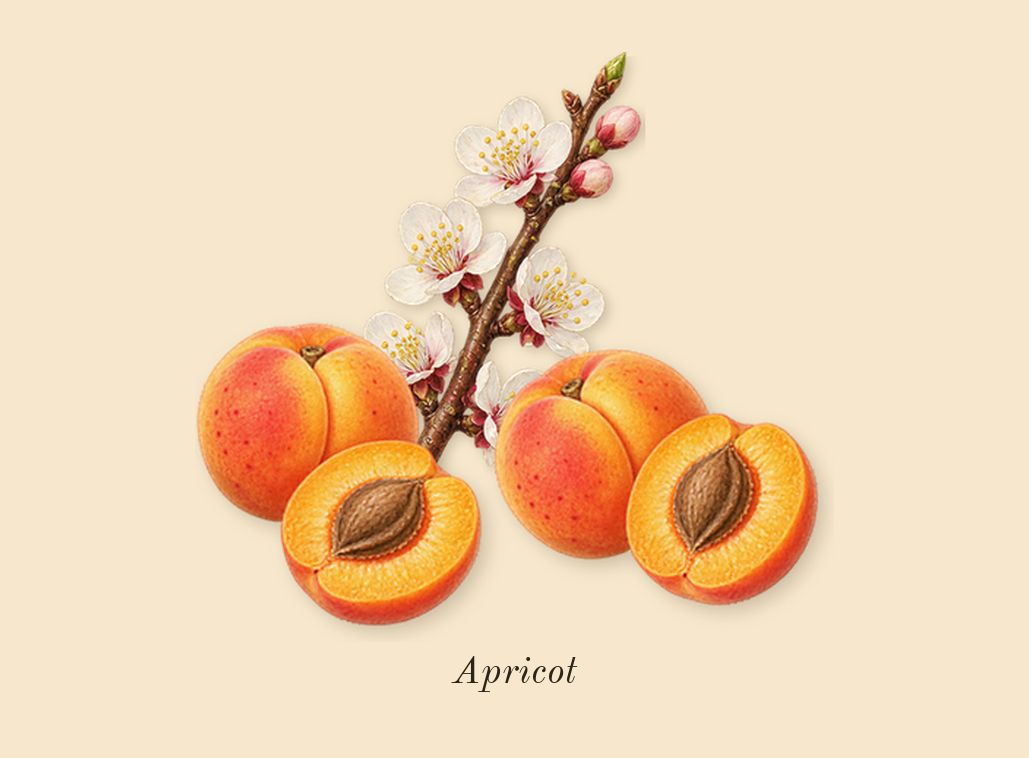 Ganymede, heart: Apricot