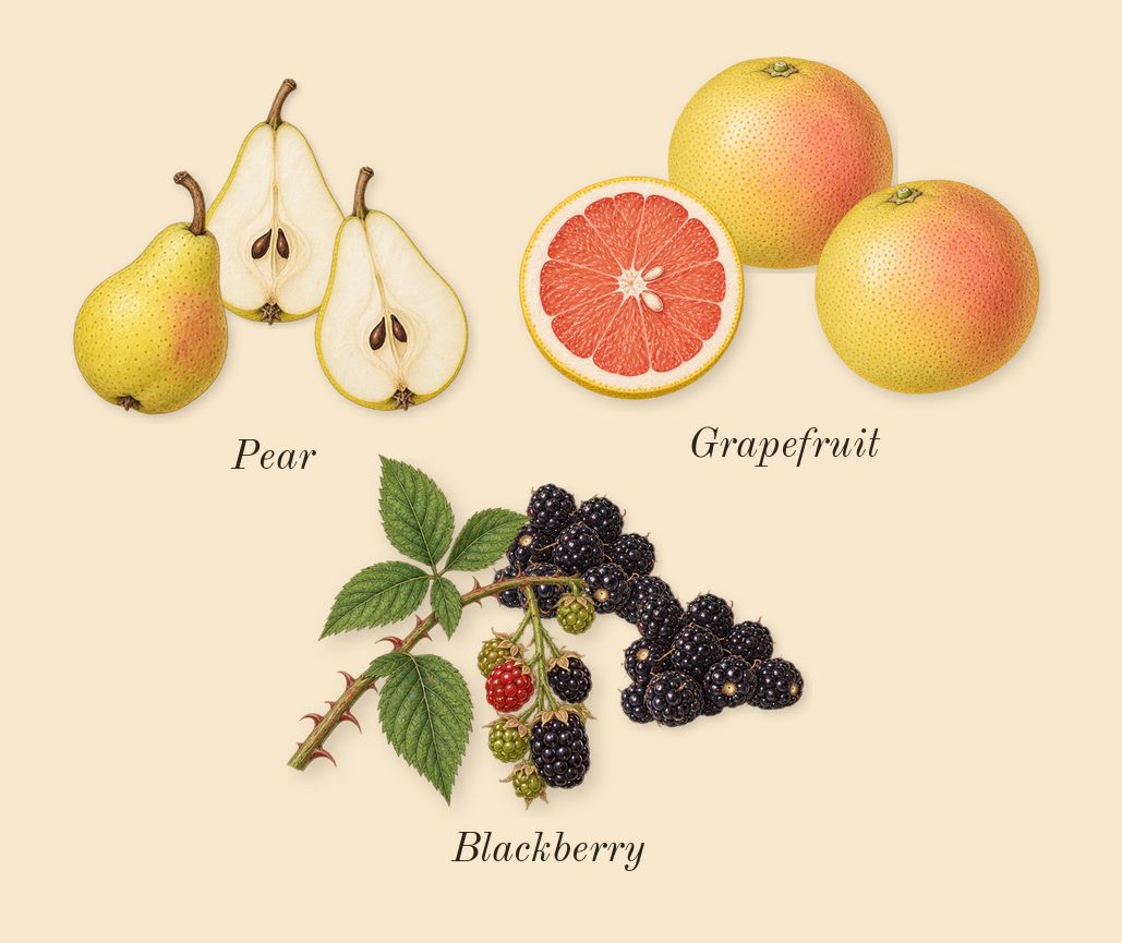 Daisy Dream, top notes: Blackberry, Grapefruit, Pear