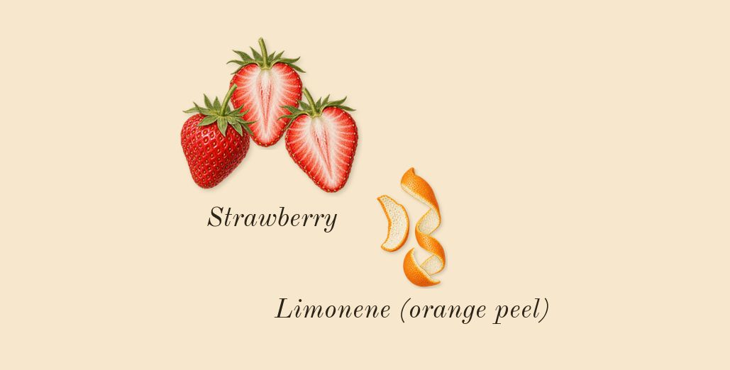 Daisy, top notes: Strawberry, Limonene (orange peel)