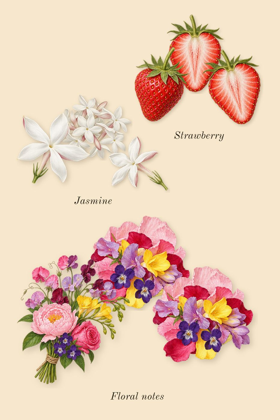 Daisy Love, heart: Floral notes, Strawberry, Jasmine
