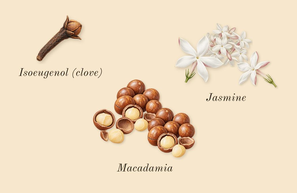 Daisy Wild, heart: Jasmine, Macadamia, Isoeugenol (clove)