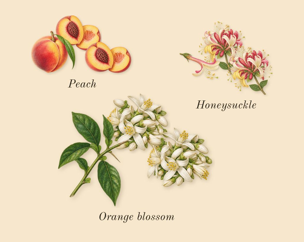 Honey, heart: Honeysuckle, Orange blossom, Peach
