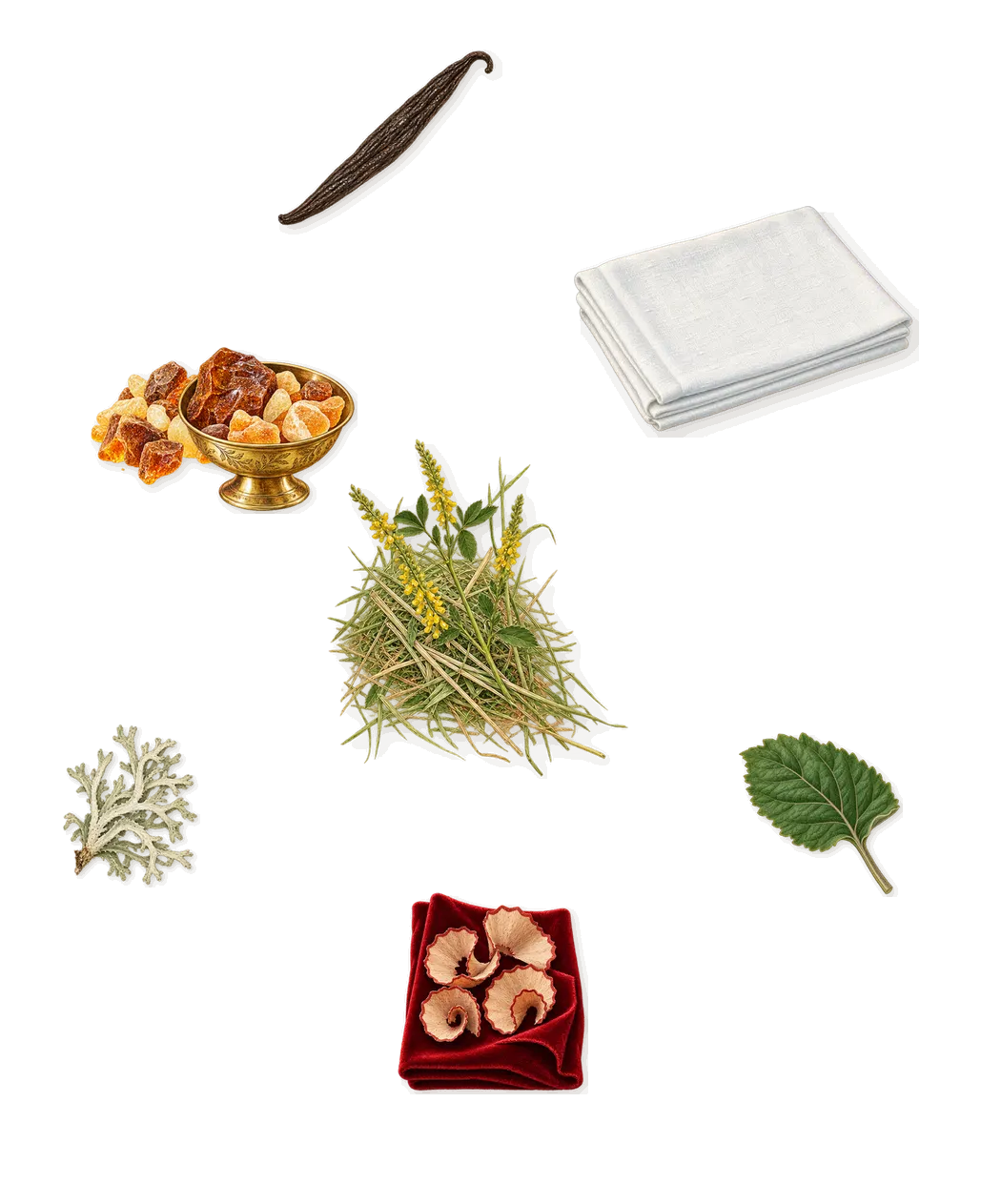 Perfect Absolute, what stays: Amber, Patchouli, Oakmoss, Iso E Super (pencil shavings on velvet), Galaxolide (musk), Vanillin (vanilla), Coumarin (new-mown hay)