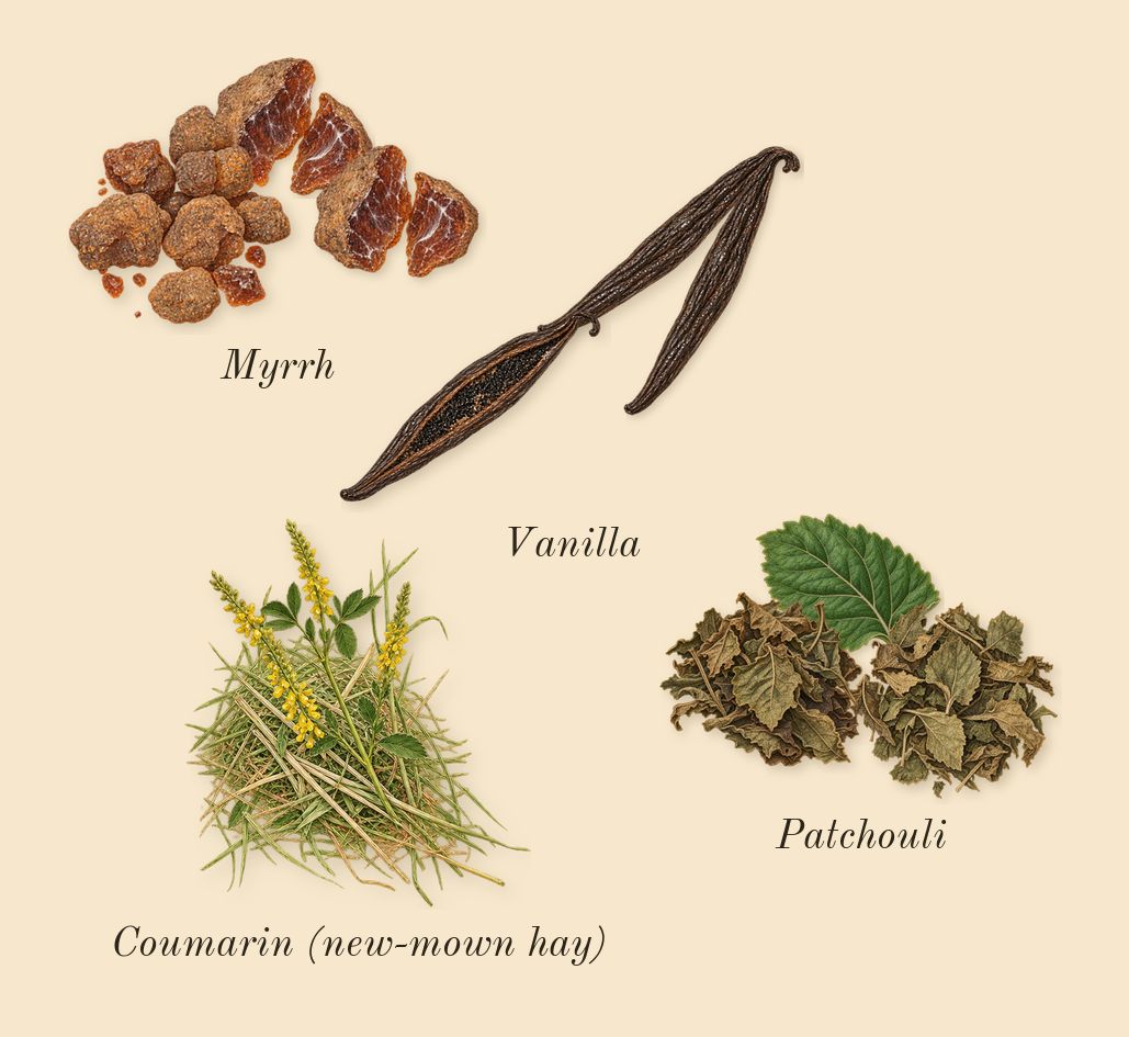 Perfect Elixir, dry-down: Vanilla, Myrrh, Patchouli, Coumarin (new-mown hay)