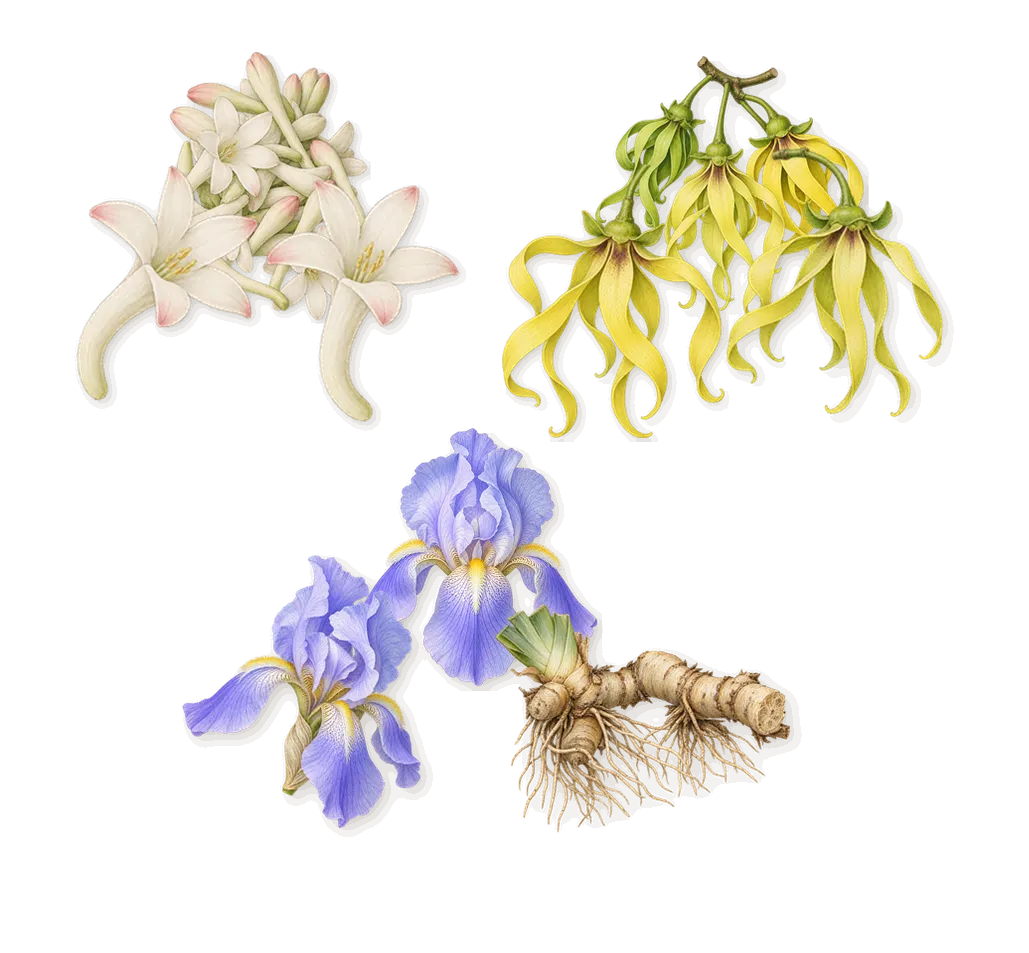 L'Attesa, as it settles: Iris, Tuberose, Ylang-ylang