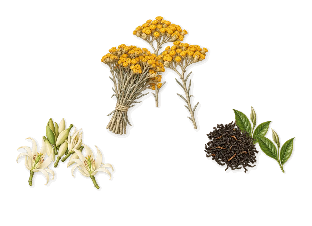 Russian Tea, as it settles: Tea, Magnolia, Immortelle