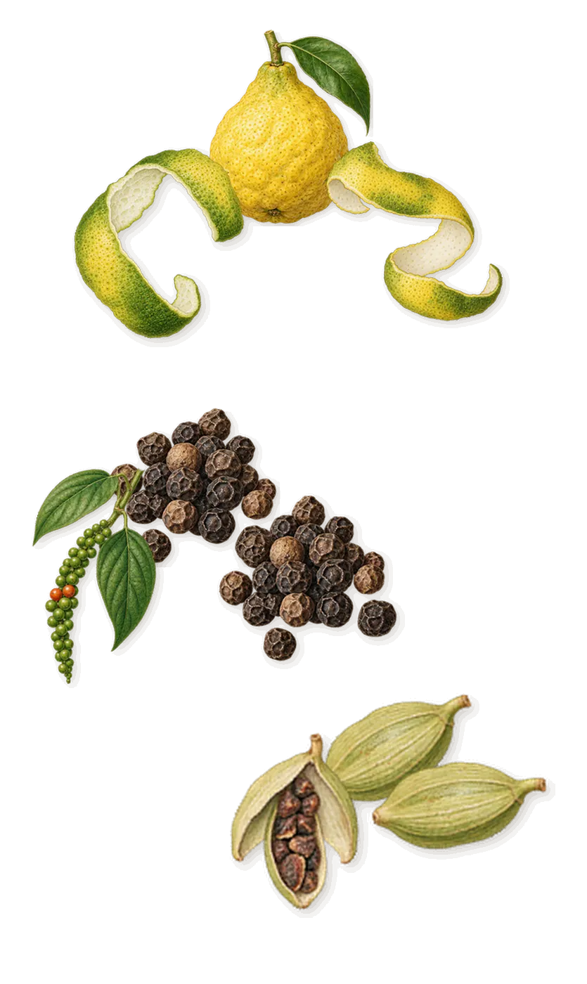 Tango, when you spray it: Bergamot, Black pepper, Cardamom