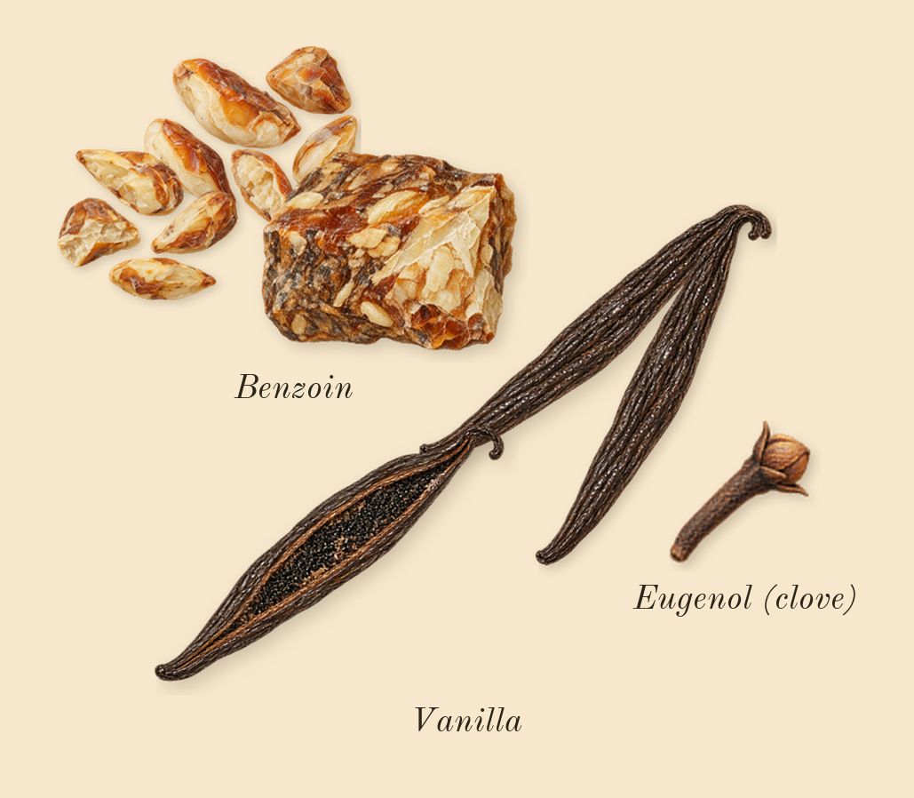 Material, heart: Vanilla, Benzoin, Eugenol (clove)