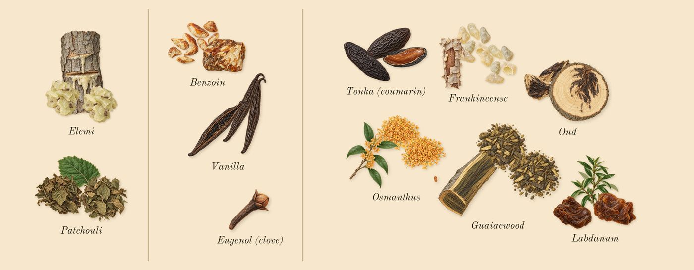 Material’s scent picture, a draft: elemi, patchouli, vanilla, benzoin, guaiacwood, oud drawn so far; dashed outlines where nothing is drawn yet