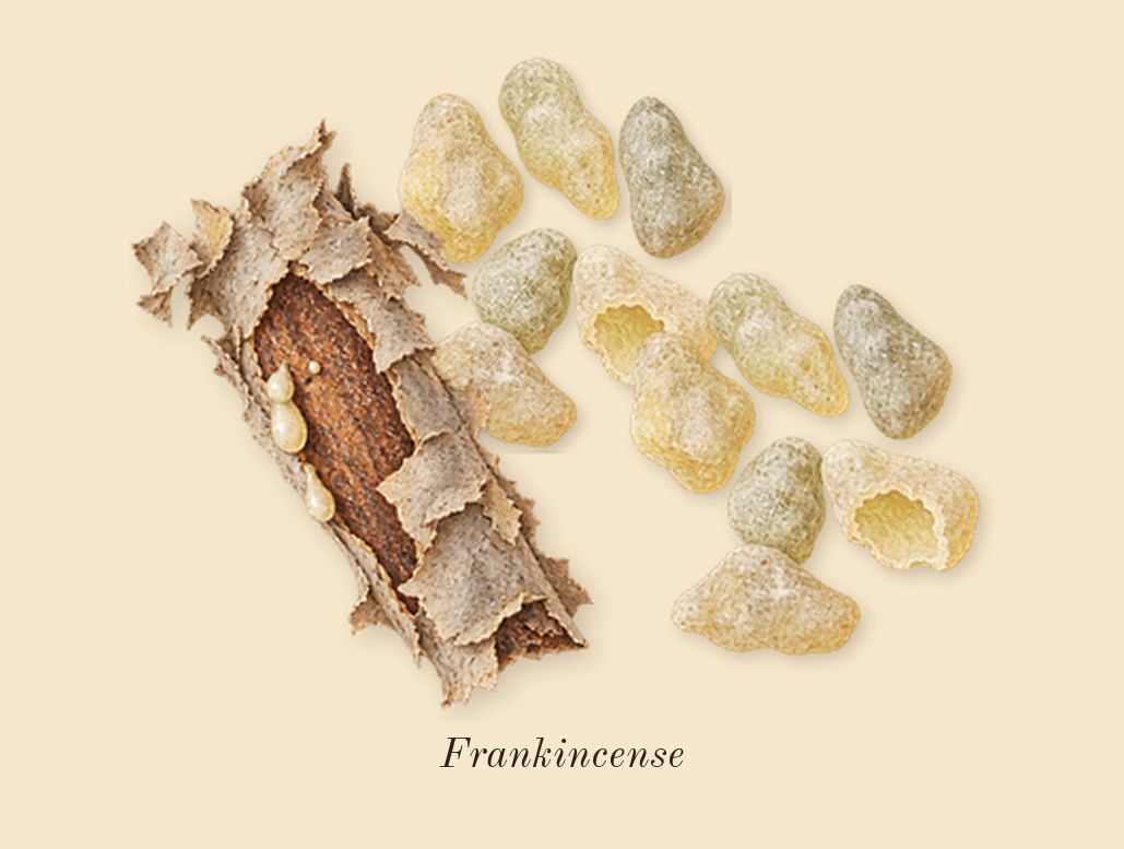Crystal Saffron, top notes: Frankincense