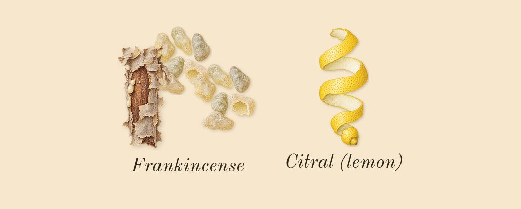 Encens Suave, top notes: Frankincense, Citral (lemon)