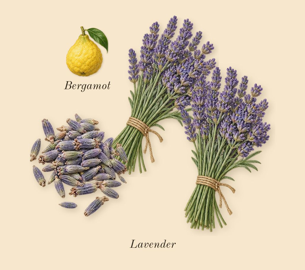 Metal Lavender, top notes: Lavender, Bergamot