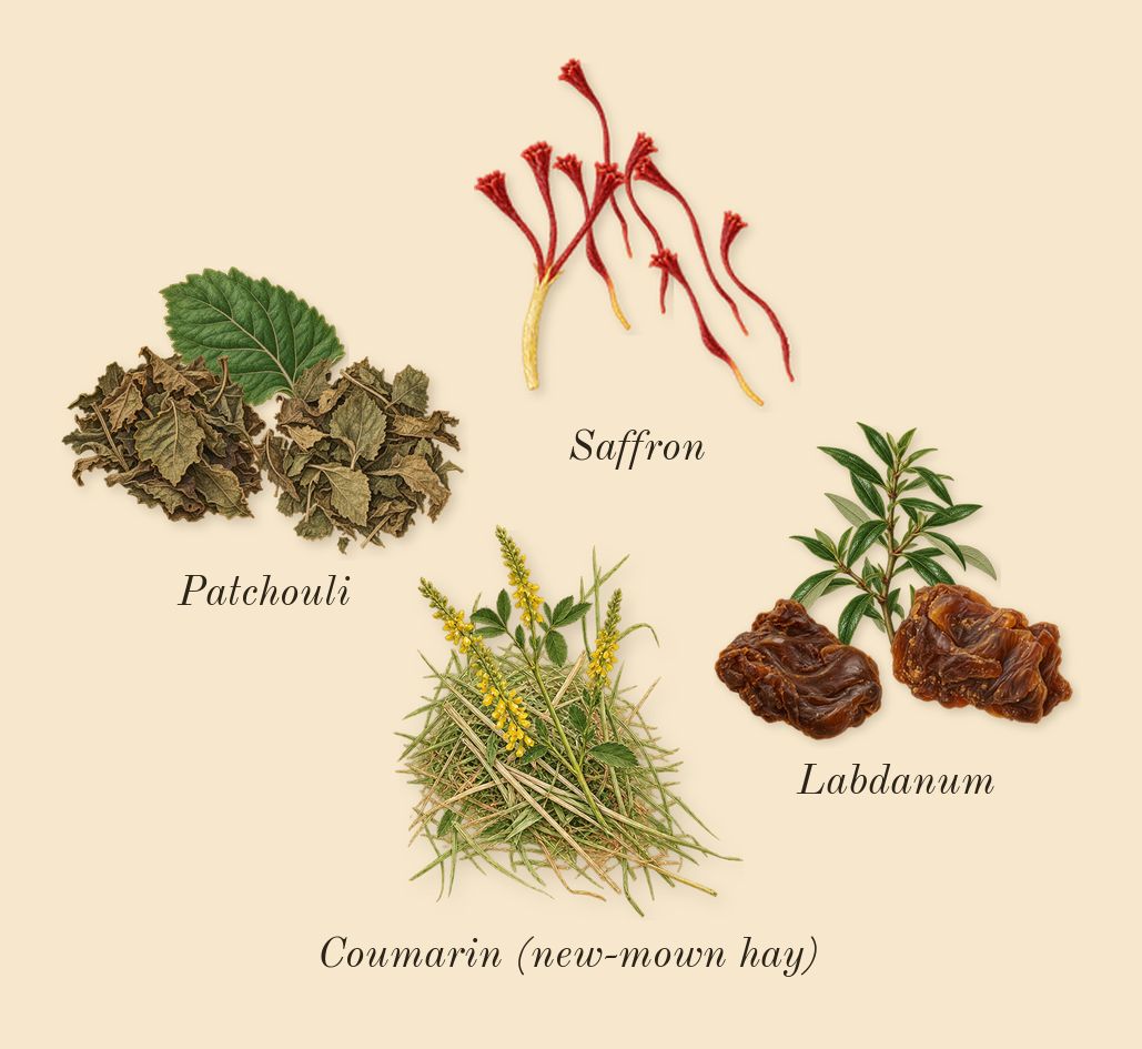 Radical Rose, dry-down: Saffron, Patchouli, Labdanum, Coumarin (new-mown hay)
