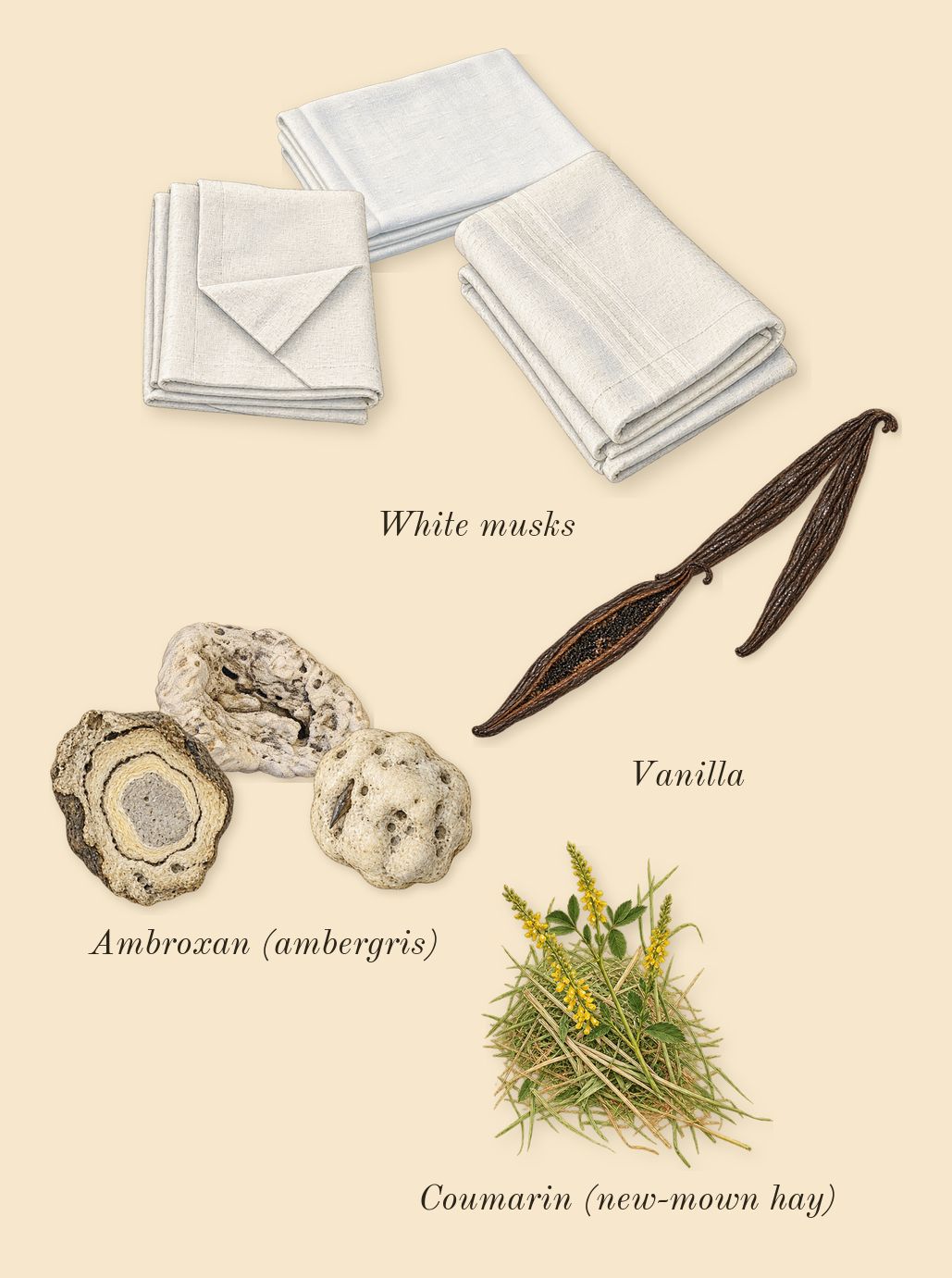 Vanilla Powder, dry-down: Vanilla, White musks, Ambroxan (ambergris), Coumarin (new-mown hay)