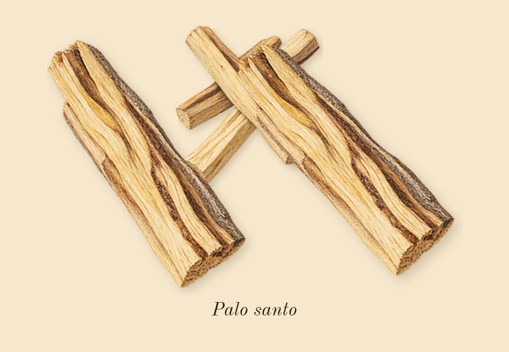 Vanilla Powder, top notes: Palo santo