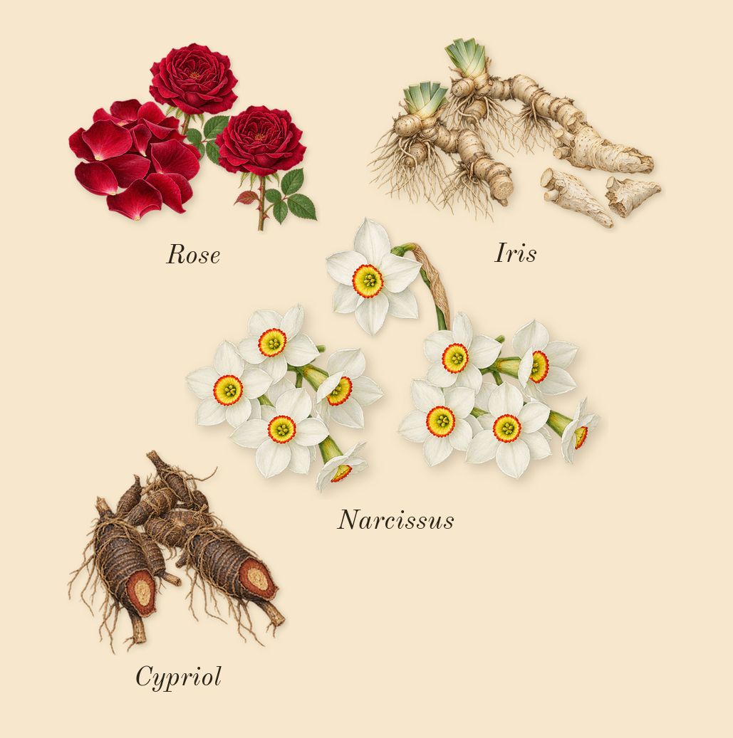 Meander, heart: Iris, Rose, Cypriol, Narcissus