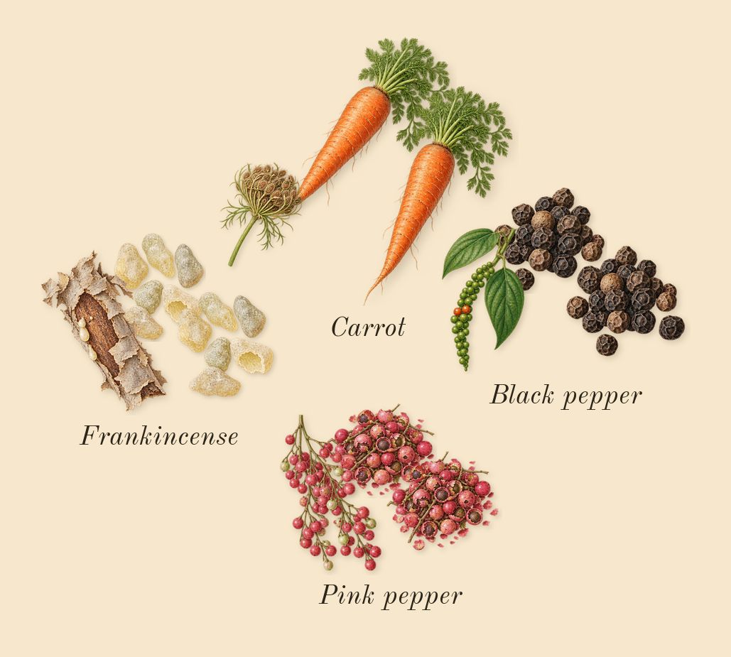 Meander, top notes: Frankincense, Carrot, Pink pepper, Black pepper