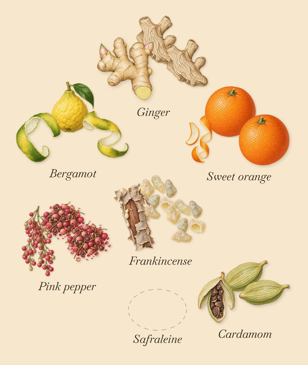 Abu Dhabi, when you spray it: Bergamot, Sweet orange, Pink pepper, Cardamom, Ginger, Frankincense, Safraleine