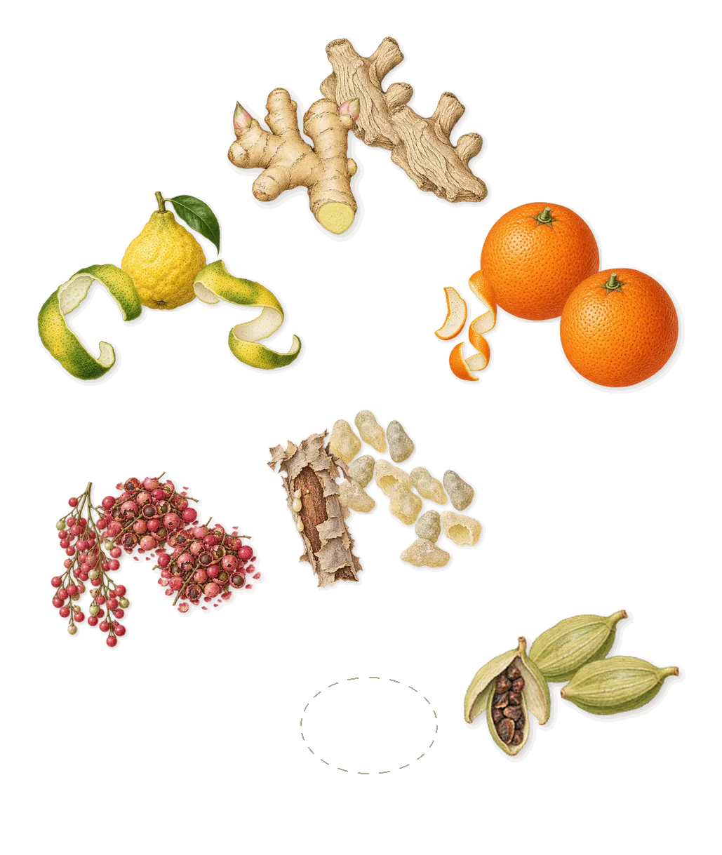 Abu Dhabi, when you spray it: Bergamot, Sweet orange, Pink pepper, Cardamom, Ginger, Frankincense, Safraleine