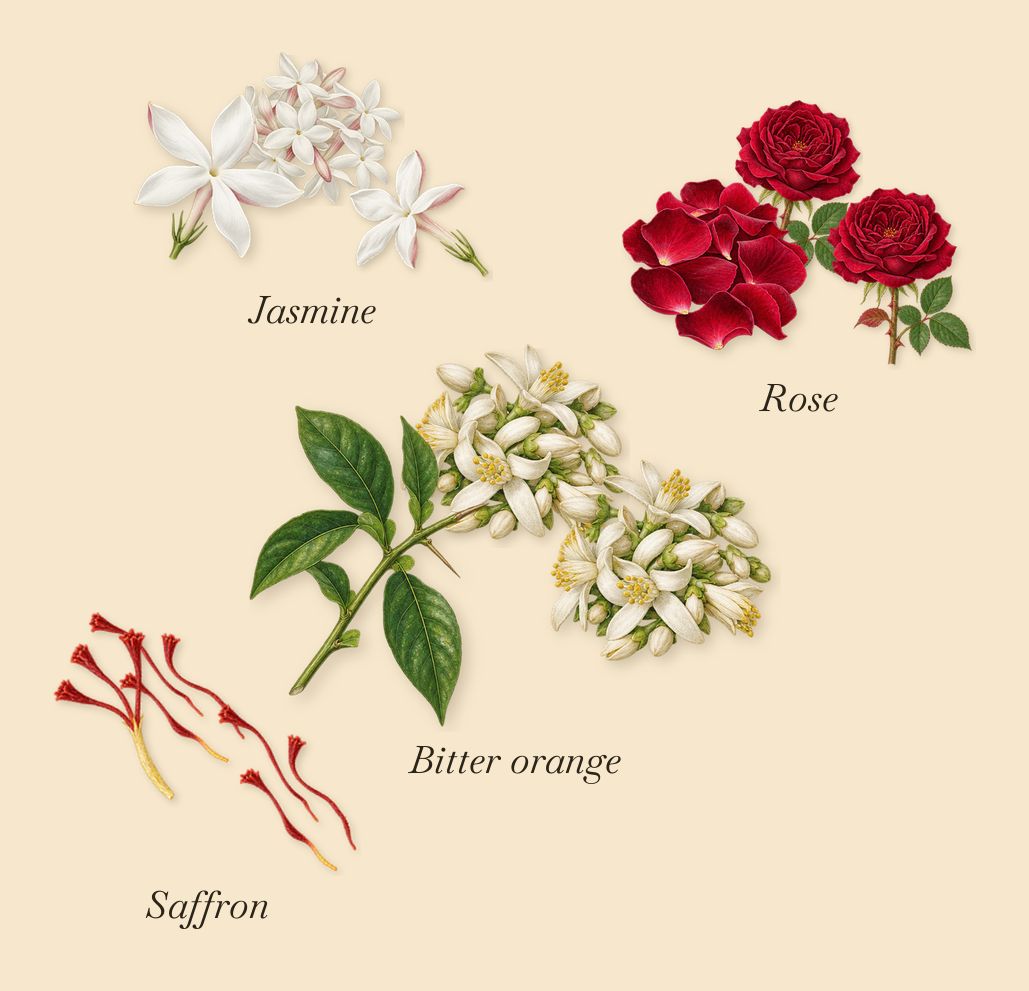 Darling Point, as it settles: Jasmine, Bitter orange, Saffron, Rose