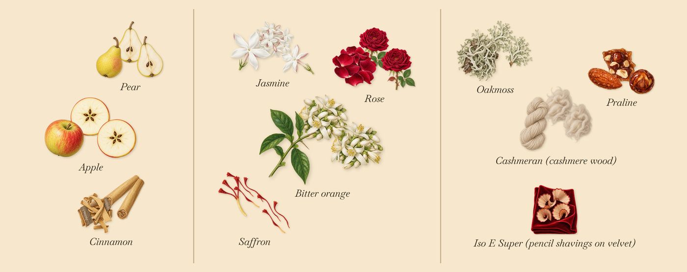 Darling Point’s scent picture, a draft: cinnamon, pear, apple, jasmine, bitter orange, saffron drawn so far; dashed outlines where nothing is drawn yet