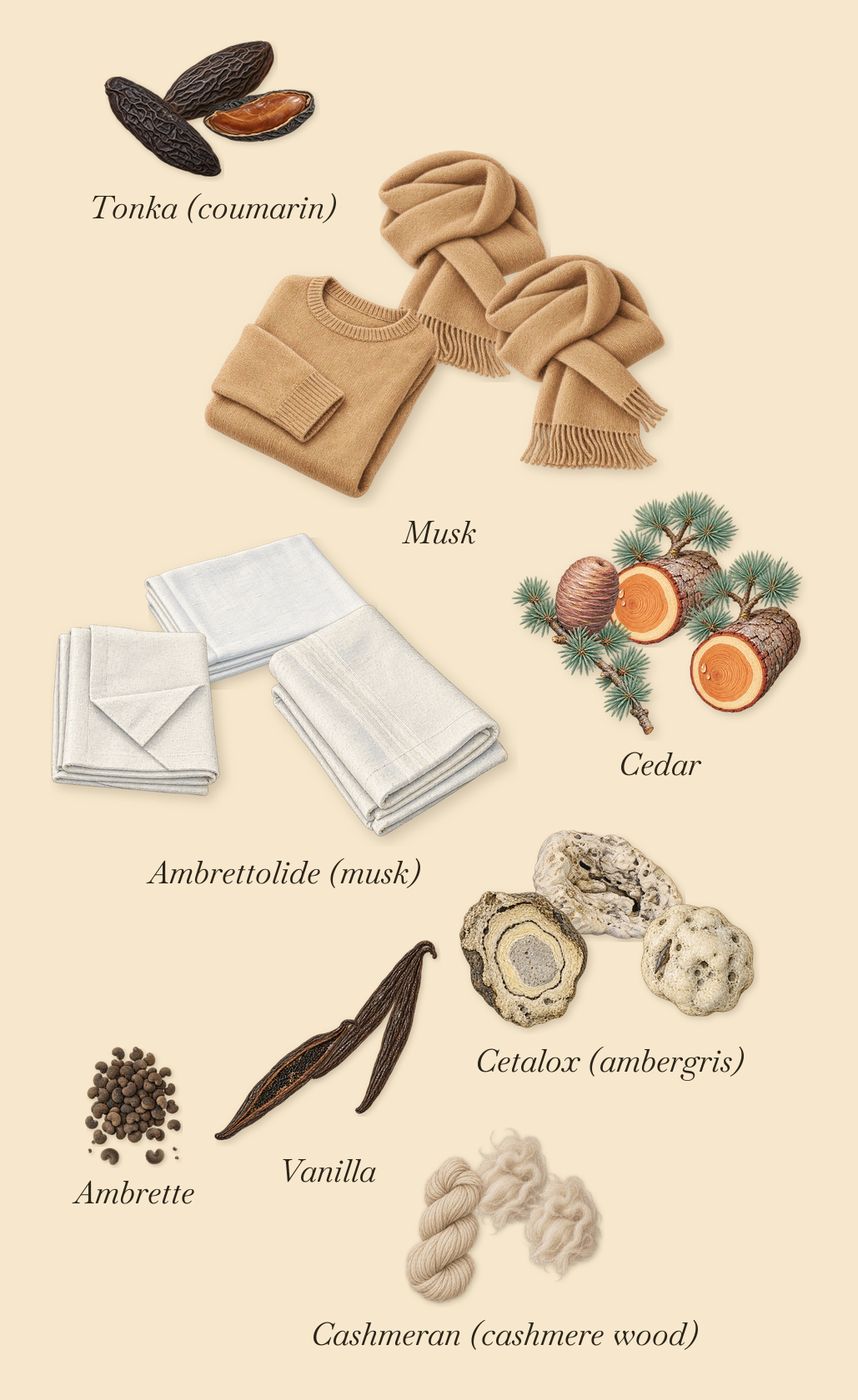 Flåm, what stays: Cedar, Tonka (coumarin), Vanilla, Musk, Ambrettolide (musk), Cashmeran (cashmere wood), Ambrette, Cetalox (ambergris)