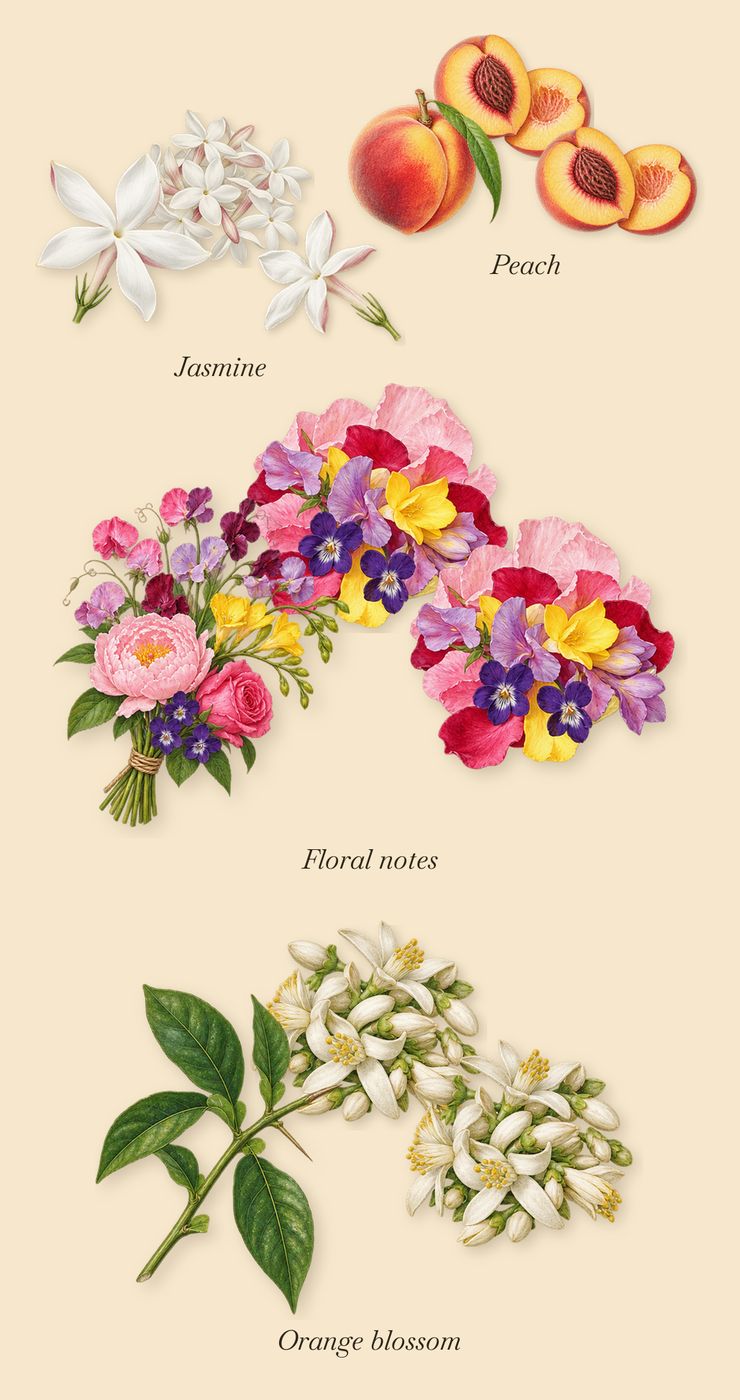 Flåm, as it settles: Floral notes, Jasmine, Orange blossom, Peach