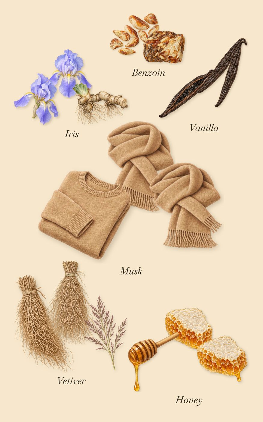 Ilha Do Mel, what stays: Vanilla, Benzoin, Iris, Musk, Vetiver, Honey