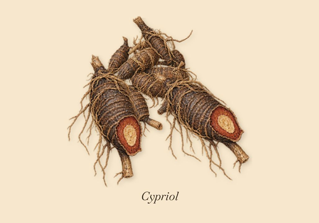 Indian Leather, when you spray it: Cypriol
